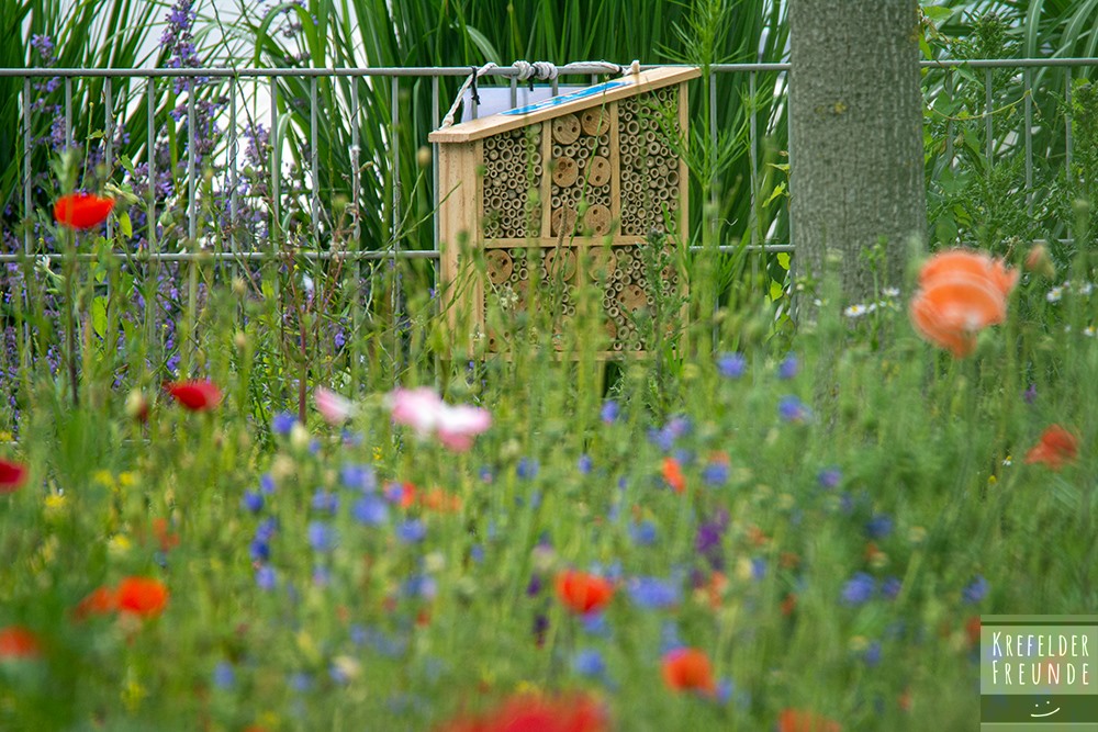Insektenhotel am van-Beckerath-Platz