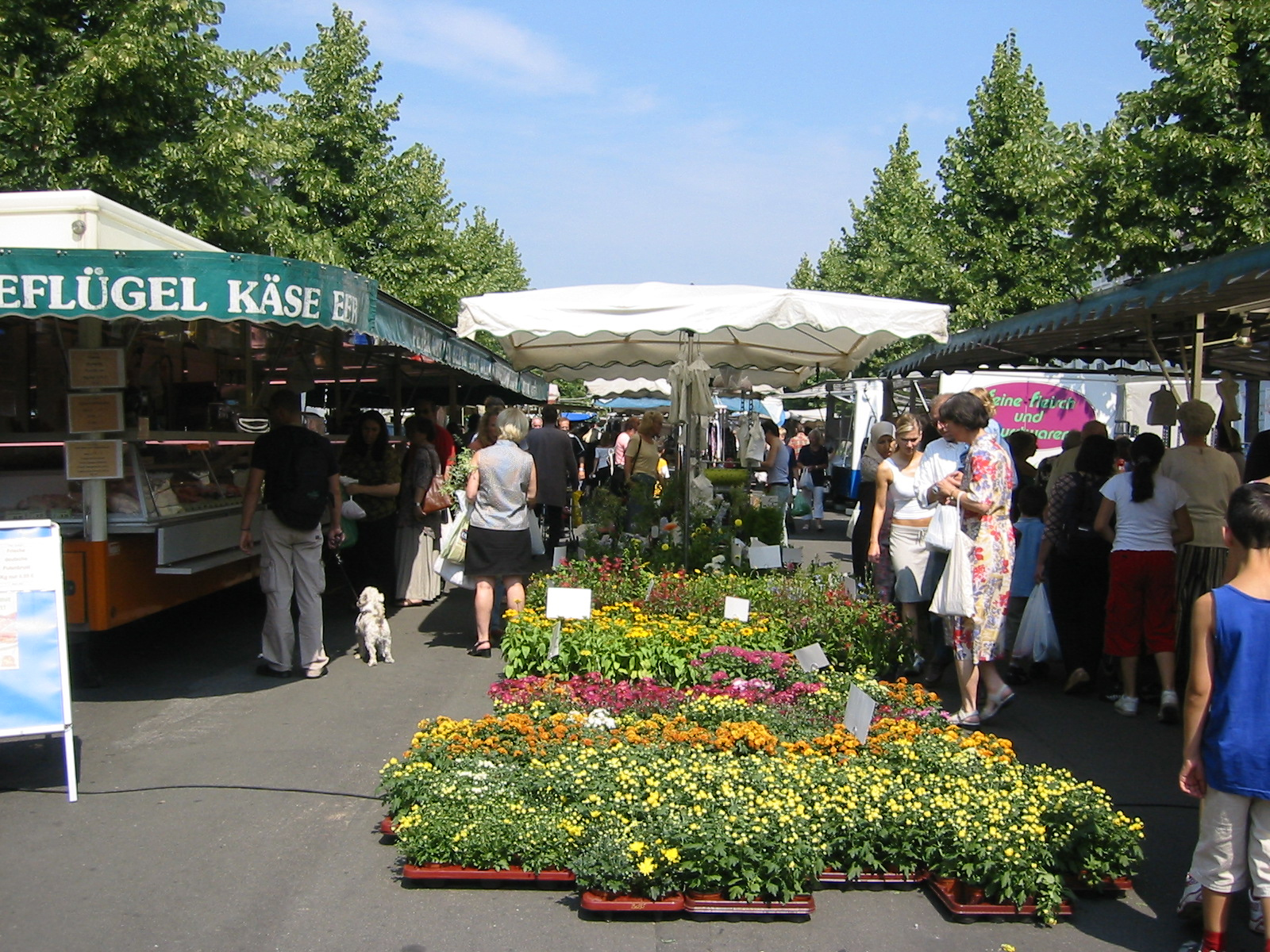 Rettet den Westwall-Wochenmarkt